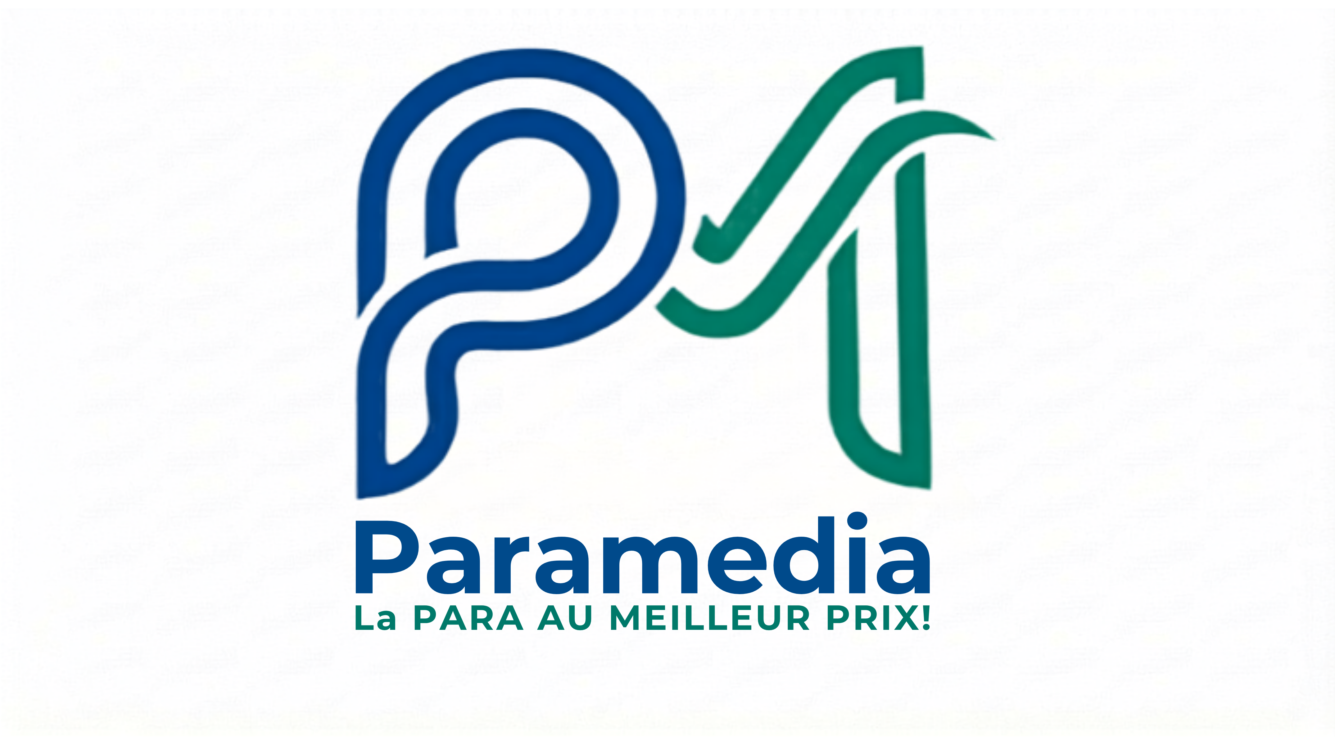 Paramedia